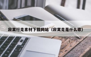 桐城寂寞行走素材下载网站（寂寞走是什么歌）